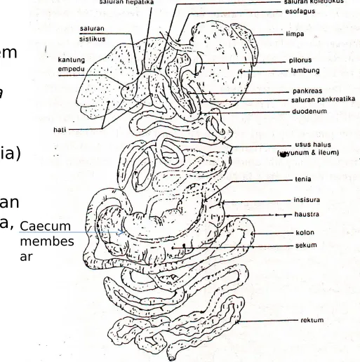 Gambar sistem 