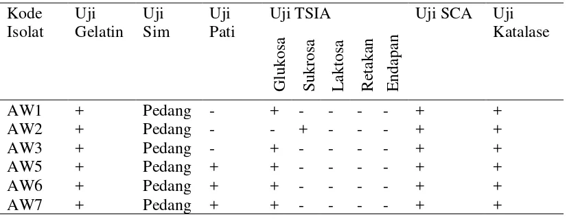 Tabel 4.1.2. Uji biokimia sederhana isolat bakteri endofit 