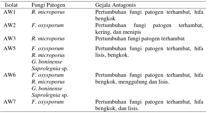 Tabel 4.2.2. Deskripsi gejala antagonis yang terjadi antara isolat fungi 