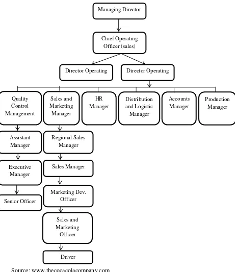 Figure 4.1 Organization Structure of Coca-Cola 