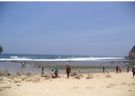 Gambar 9. Pantai Nguyahan (21-9-2014).