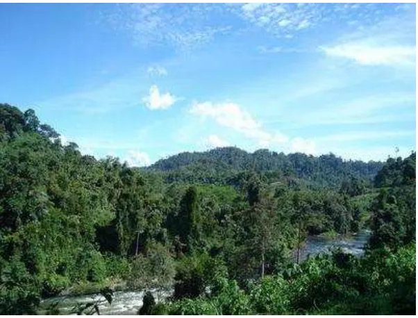 Gambar 2.9  Taman Nasional Kerinci Seblat 