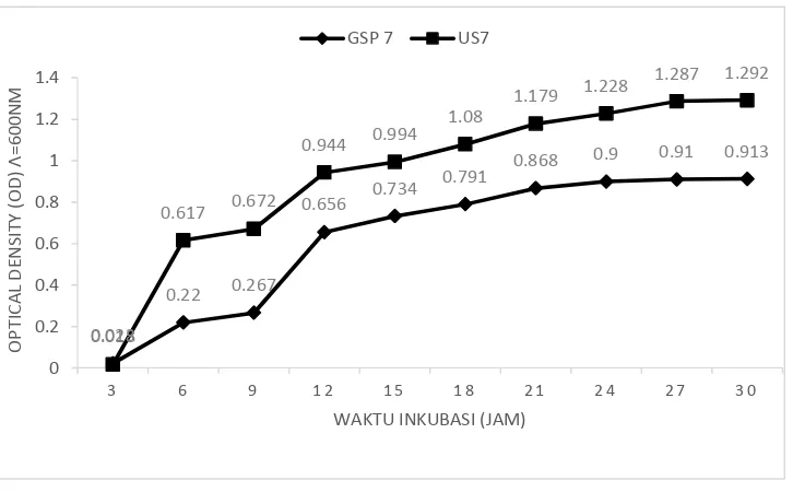 Gambar 4.2 : Kurva pertumbuhan isolat BAL SPG 7 dan US7 pada media nutrientbroth, suhu 28 0C selama 30 jam