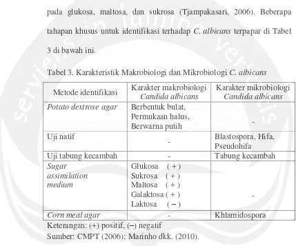 Tabel 3. Karakteristik Makrobiologi dan Mikrobiologi C. albicans 