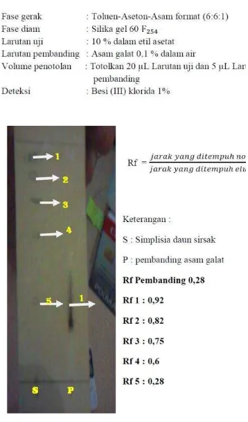 Gambar 1. Profil kromatografi lapis tipis simplisia daun sirsak  