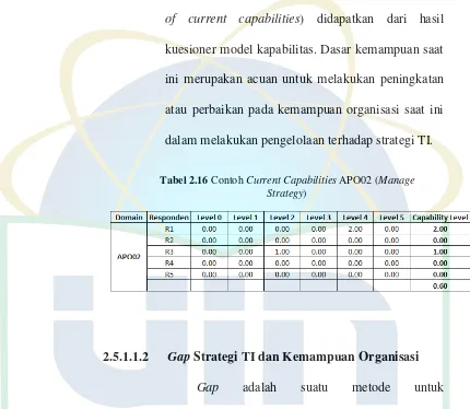 Tabel 2.16 Contoh Current Capabilities APO02 (Manage 
