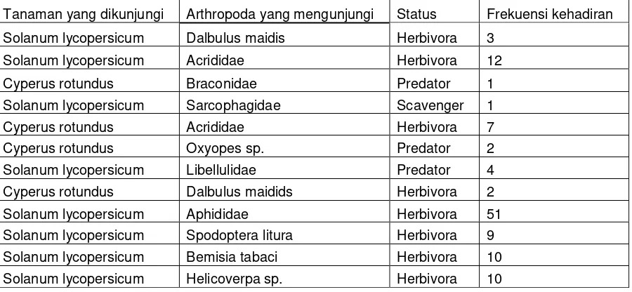 Tabel 3. Frekuensi kehadiran arthropoda tajuk pada tanaman pada perlakuan dengan pupuk kandang (kode PK) 