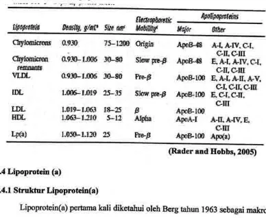 Tabel 2.1 Klasifikasi Lipoprotein.