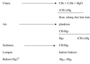 Gambar 2.1 Skema pendauran merkuri hasil kerja bakteri 