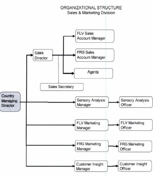 Figure 4.2 Organizational Structure (Sales and Marketing Division) 