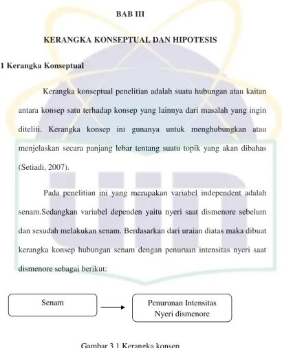 Gambar 3.1 Kerangka konsep 