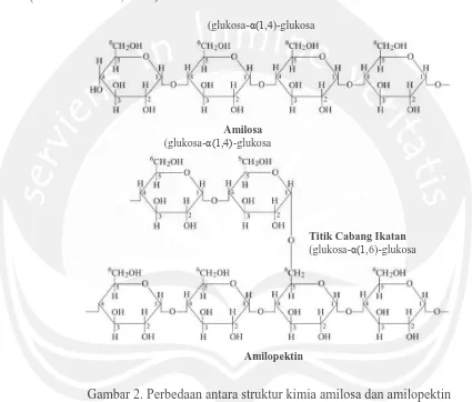 Gambar 2. Perbedaan antara struktur kimia amilosa dan amilopektin          