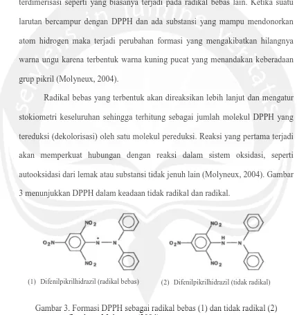 Gambar 3. Formasi DPPH sebagai radikal bebas (1) dan tidak radikal (2)  Sumber : Molyneux (2004) 