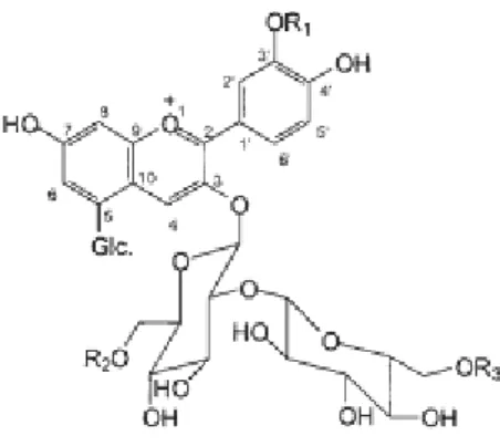 Gambar 2.1.4 Struktur umum senyawa antosianin yang diisolasi dari ubi  jalar ungu. Gugus samping R1, R2, dan R3 berbeda-beda pada kedelapan 