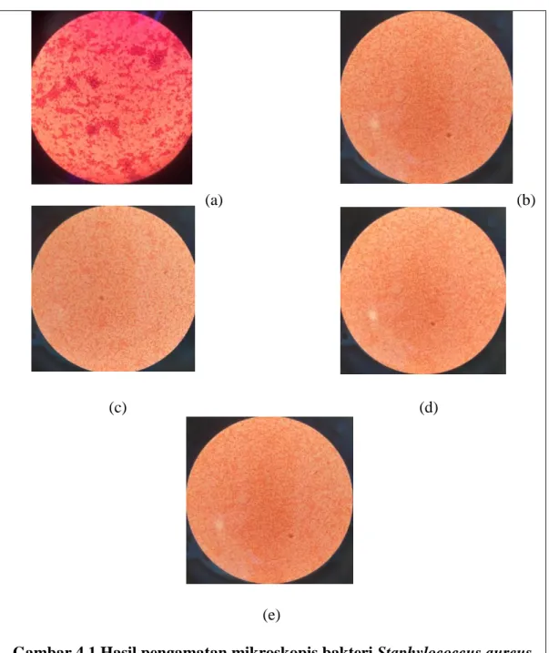 Gambar 4.1 Hasil pengamatan mikroskopis bakteri Staphylococcus aureus  Keterangan  :  (a)  Gambar  kontrol  S