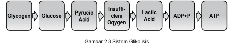 Gambar 2.3 Sistem Glikolisis