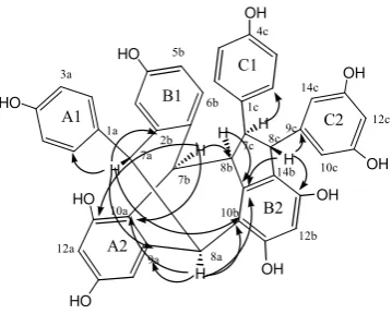 Figure 3:  Significant HMBC (H→C)  correlations of vaticanol G (3). 
