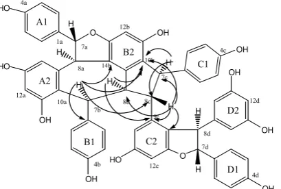 Figure 4;  Significant HMBC (H→C) correlations of hemlesyanol C (7). 