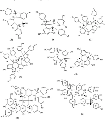 Figure 1: Structure some compounds isolated from Hopea.