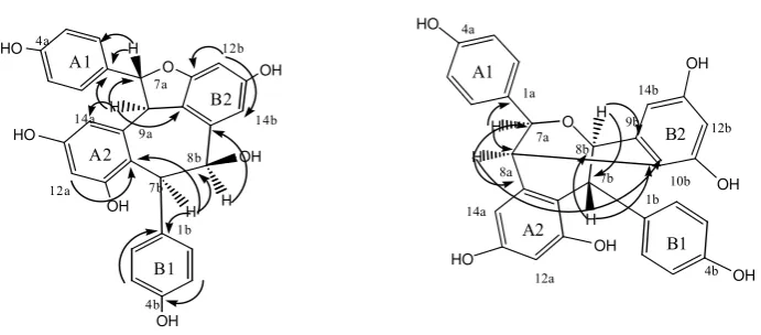 Figure 2:  Significant HMBC of  (a) balanocarpol (1) and (b) heimiol A (2).  