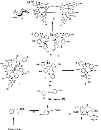 Tabel C NMR untuk karbon yang bukan hubungan antar unit struktur sebagaimana diperlihatkan oleh struktur senyawa isolat 6 diperoleh dari pengukuran HMBC (Gambar 2 dan 3) yang memperlihatkan adanya korelasi kuarterner dapat teridentifikasi secara tepat deng