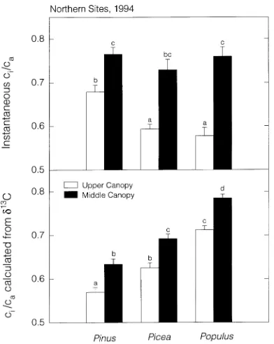 Table 2. Changes in gas exchange parameters of lower canopy foliage in response to supplemental light