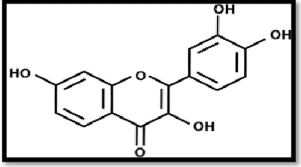 Gambar 2. Struktur Kimia Flavonoida  