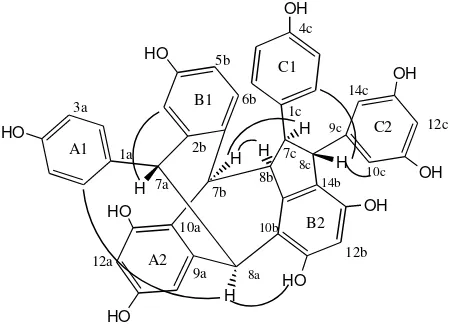 Gambar 2. Beberapa Interaksi 1H-1H NOESY  senyawa 1 yang penting 