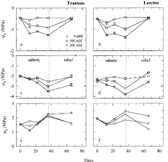 Figure 2. Changes in predawn relativewater content (RWC) of olive cultivarsdroponic culture