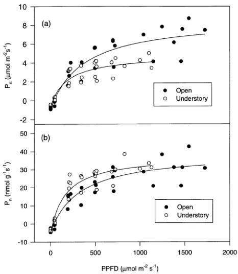 Figure 4. Photosynthetic light-response curves for open-grown (closedcircles) and understory-grown branches (open circles)