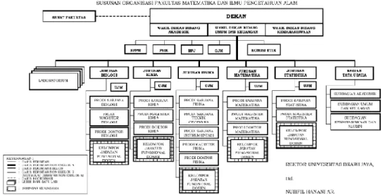 Figure 1. 2 Organizational Structure of the Faculty of Mathematics and Natural Sciences  1.5.1