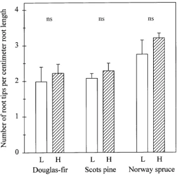 Table 3. Nutrient concentrations in newly grown roots of three coniferous tree species in a split-root system