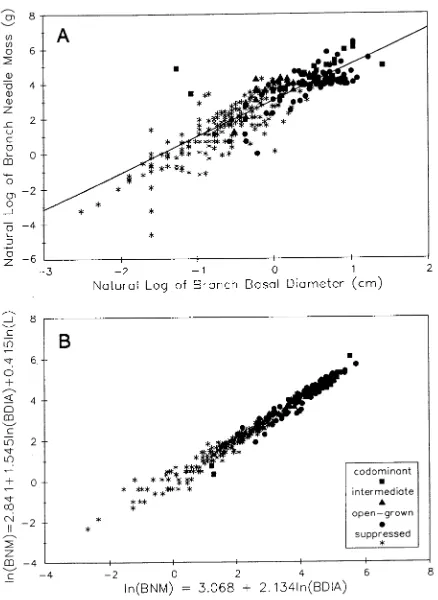 Figure 2. (A) Log-log plot of needle mass (BNM, g) versus branchdiameter (BDIA, cm) and the predictive function ln(BNM) = 3.068 +2.134 ln(BDIA)