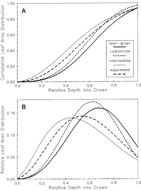 Figure 6. Predicted (A) cumulative and (B) relative leaf area distribu-tion within the crown of Abies balsamea by crown class