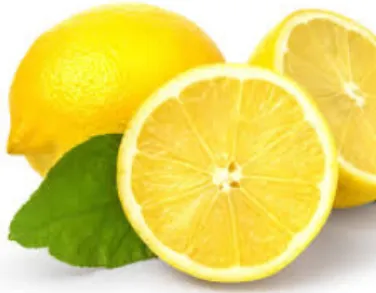 Gambar 4. Lemon (Citrus limon (L.) Osbeck)  a.  Klasifikasi 
