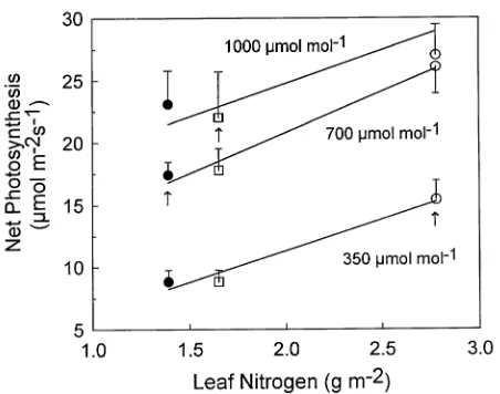 Table 1. Net photosynthetic rates, stomatal conductance, photosyn-thetic water use efficiency (PWUE), nitrogen concentrations, andratios of intercellular to ambient CO2 concentration (ci/ca) for leavesof A