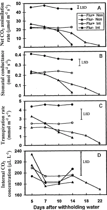 Figure 3. Regression of turgor (A), osmotic potential at full turgor (B)