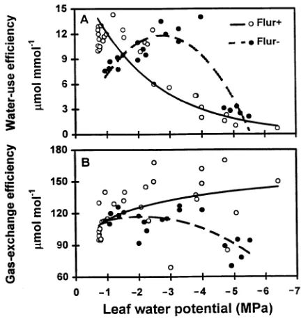 Figure 6. Regression of water-use efficiency (A) and intrinsic gas-ex-