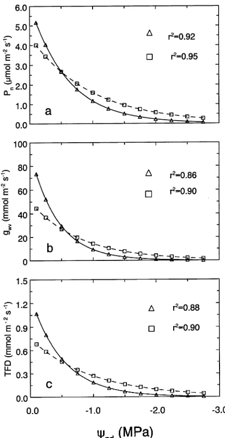 Figure 5. Changes in net photosynthesis (P(Si rDNA index of 0.11, tance to water vapor (in relation to decreases in predawn water potentials (n) (a), stomatal conduc-gwv) (b), and transpiration flux density (TFD) (c)Ψpd) for Sitka�) and interior (Si rDNA index of 0.97, �)spruce seedlings.
