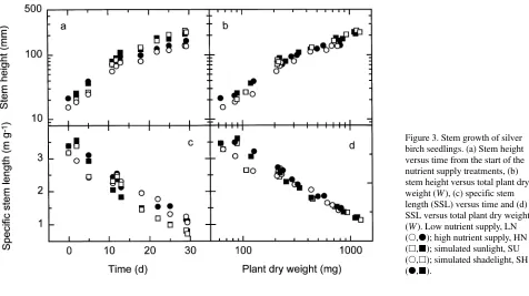 Table 1. Nitrogen concentration in leaves, stems, and roots, and specific leaf area (SLA) of birch seedlings exposed to simulated sunlight (SU) orshadelight (SH), and high (HN) and low (LN) nutrient supply regimes