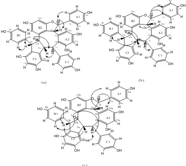 Gambar 1. Beberapa korelasi jarak jauh COSY (a), HMBC (b), dan NOE (c)  dari stenofilol B (1)