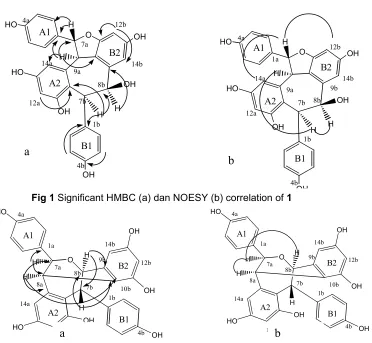 Fig 1 Significant HMBC (a) dan NOESY (b) correlation of 1