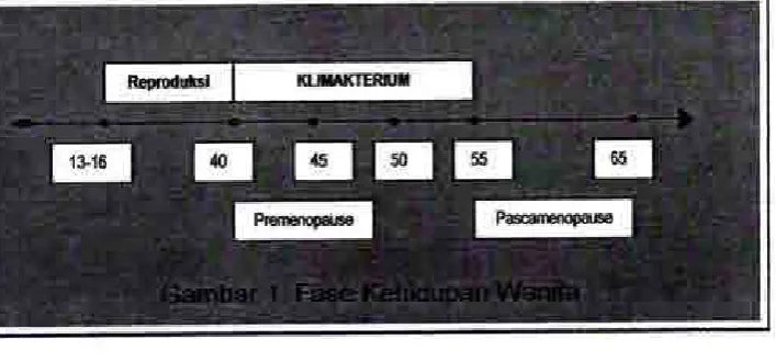 Gambar 2. Masa Klimakterium