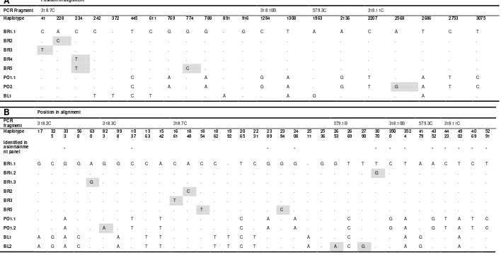 Table S6. Segregating sites of Y-chromosome haplotypes in the 3.1 kb (A) and 5.3 kb (B) datasets