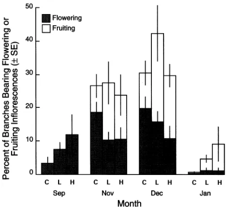Figure 24. Histogram showing percent of branches bearing floweringand fruiting inflorescences for control (C) and low (L) and high (H)concentrations of paclobutrazol over four months.