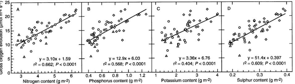 Figure 3. Gross rate of oxygen evolution at an irradiance of 600 ±potassium (C) and sulfur (D) in current-year needles from the third whorl of control ( 10 µmol m−2 s−1 as a function of the content of nitrogen (A), phosphorus (B),�), irrigated (�) and irri