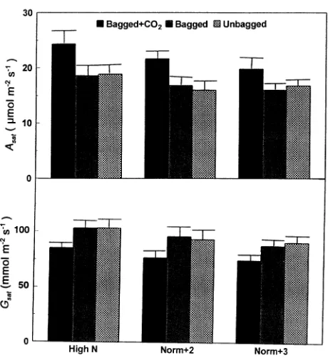 Figure 5. Light-saturated rate of assimilation, Ashoots; 700 deficit of 0.4 kPa and air temperature of 20 soil-nitrogen supply after two growth seasons; Norm + 2 = normalsoil-nitrogen content after two growth seasons; Norm + 3 = normalductance,sat, and sto