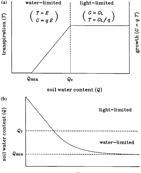 Figure 1. (a) Schematic relationship between transpiration (Tdetermined by the maximum rate of water extraction by roots (tion 3)
