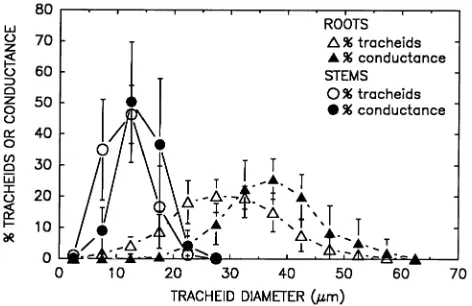 Figure 5. Mean cavitation pressure versus hydraulic mean tracheiddiameter for roots (�) and stems (�)