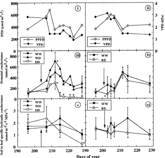 Table 2. Soil water content in the dry compartment, predawn leaf water potential and whole-plant transpiration measurements taken at thebeginning and end of the experiment on seedlings of rows, different letters indicate significant differences (drought in